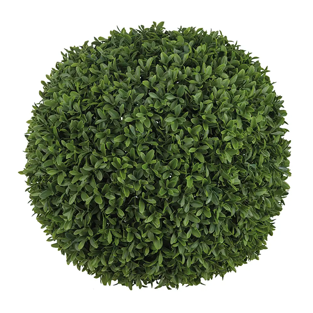 Produktfoto för Mr Plant, Buxbom Boll Grön 40 cm